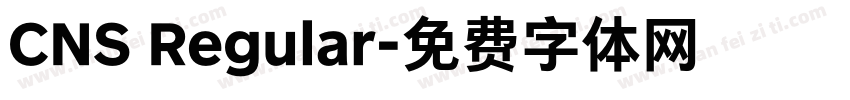 CNS Regular字体转换